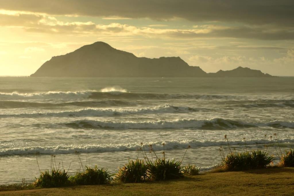 Cape South Estate - International Award-Winning Country Estate With Pacific Views Havelock North Bagian luar foto