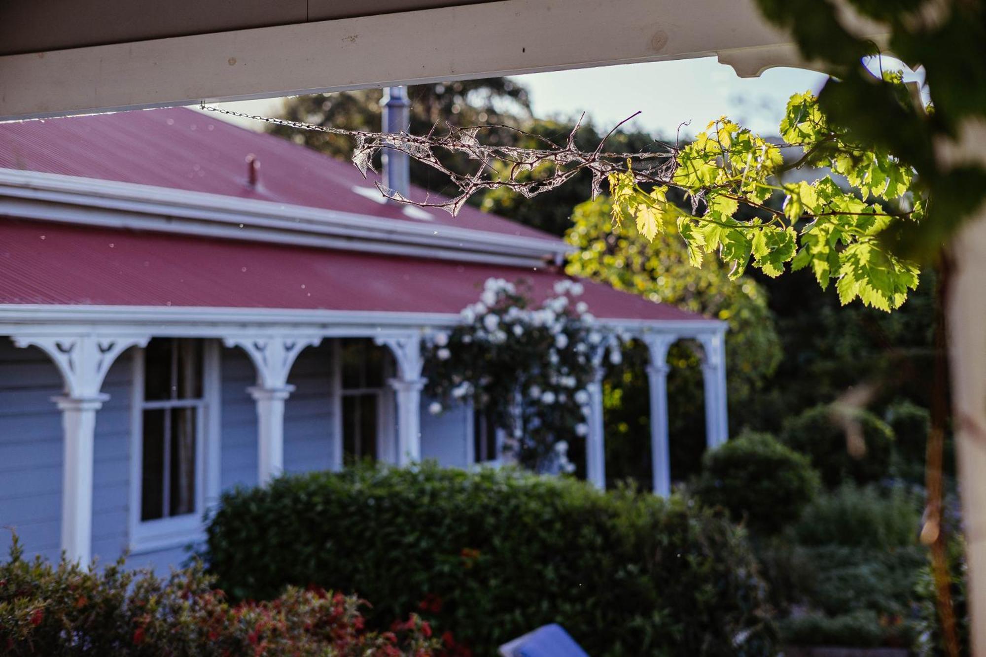 Cape South Estate - International Award-Winning Country Estate With Pacific Views Havelock North Bagian luar foto